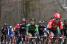 Bryan Coquard (Team Europcar) in the forest (674x)