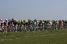 The peloton on top of the Cte de Vicq (2) (474x)