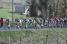 The peloton surrounded by fields (478x)