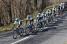 The Orica-GreenEDGE team leads the peloton on the col du Beau Louis (415x)