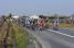 Le peloton dans les vignes (283x)