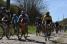 The peloton in the Saint-Python section (466x)
