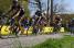 The peloton in Warlaing (427x)