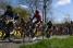 The peloton in Warlaing (2) (411x)