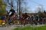 The peloton in Warlaing (3) (441x)