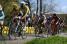 Heinrich Haussler (IAM) & Andr Greipel (Lotto-Soudal) (507x)