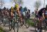 The peloton in Mons-en-Pvle (3) (448x)