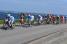 Le peloton au bord de la mer (380x)