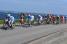 The peloton at the sea side (419x)