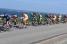 Le peloton au bord de la mer (4) (354x)