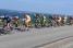 The peloton at the sea side (4) (399x)