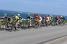 Le peloton au bord de la mer (5) (350x)