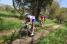 The breakaway on the ribin in Ploudaniel (509x)