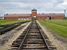 [Birkenau] (111x)