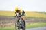 Moreno Hofland (Team LottoNL-Jumbo) (492x)