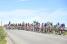 The peloton back together close to Robecq (2) (457x)