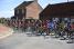 The peloton close to Gonnehem (2) (460x)