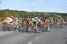 The peloton in Sains-ls-Pernes (2) (434x)
