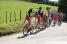 The peloton led by Cofidis (397x)