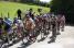 The peloton in the climb in Teneur (2) (390x)
