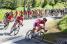 The Cofidis team in front of the peloton (267x)