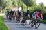 The peloton in Bomy (2) (340x)