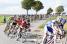 The peloton close to Coyecques (3) (441x)