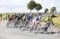 The peloton close to Coyecques (4) (415x)