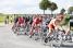 The peloton close to Coyecques (5) (374x)