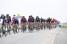 The peloton in Grainville (3) (402x)
