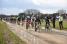 Le peloton sur le premier chemin calcaire (382x)