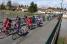 The peloton in Selles-sur-Cher (2) (539x)