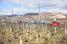Le peloton dans les vignes au départ (366x)