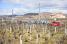 The peloton in the wineyards at the start (460x)