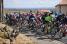 Le peloton dans le fictif (339x)