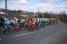 The peloton close to Fleurie (461x)