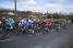The peloton close to Fleurie (2) (462x)