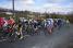 The peloton close to Fleurie (3) (298x)