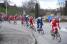 The peloton in Mornant (479x)