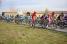 Julien Simon & Arnold Jeannesson in cyclo-cross style (479x)