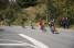 The breakaway with 17 riders (331x)