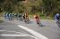 The chasing peloton (3) (316x)