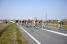 The breakaway with 17 riders in the wineyards (291x)