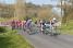 Le deuxième peloton dans la Côte de Roussay (860x)