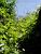 [Le Colombier] Nice flowers (245x)