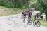 The peloton in the first climb of the Mont Ventoux (647x)