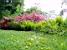 The garden of the castle in Fontainebleau (291x)