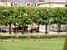A carriage in the garden of the castle in Fontainebleau (279x)