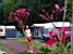 Ellen playing badminton (526x)