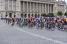 The peloton of the Tour de France 2025 in front of the Htel de la Marine (2) (8x)